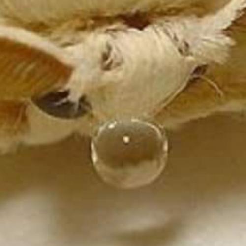 สมาชิกหมายเลข 8003642