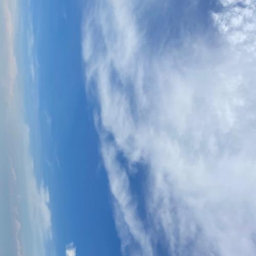 สมาชิกหมายเลข 5538163