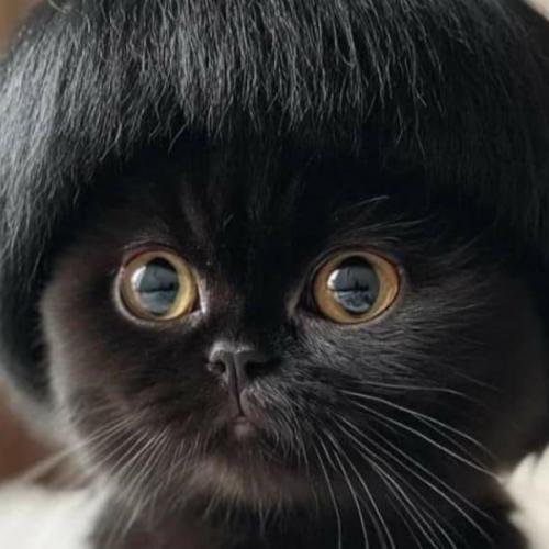 สมาชิกหมายเลข 9039791