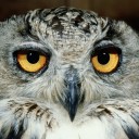 วารีนิมิตร