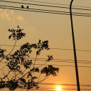 สมาชิกหมายเลข 3788918