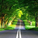 สมาชิกหมายเลข 3789092