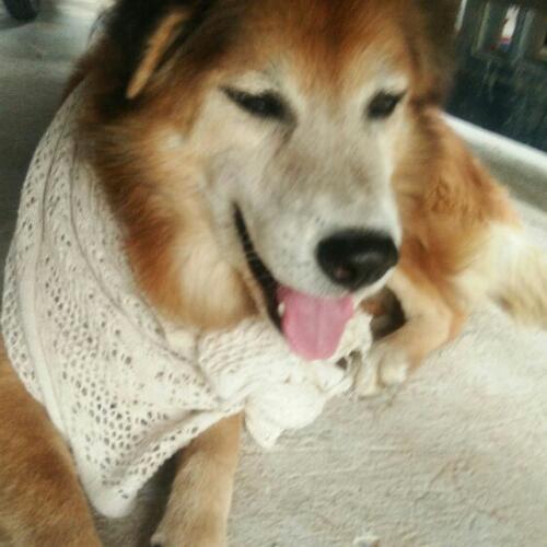 สมาชิกหมายเลข 3289801