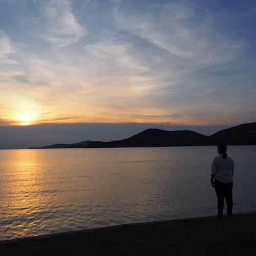 สมาชิกหมายเลข 4806782