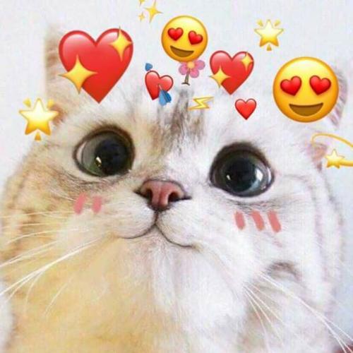 สมาชิกหมายเลข 5393992