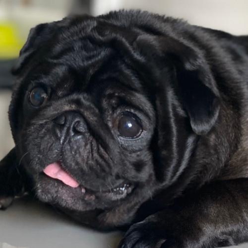 สมาชิกหมายเลข 1403560