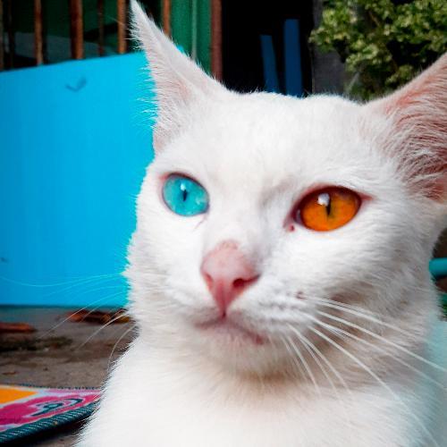 สมาชิกหมายเลข 5896381