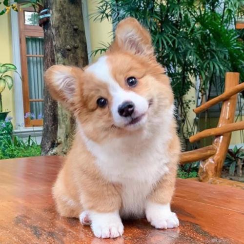 สมาชิกหมายเลข 6497604