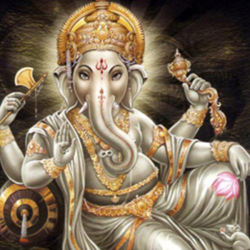 สมาชิกหมายเลข 4021856