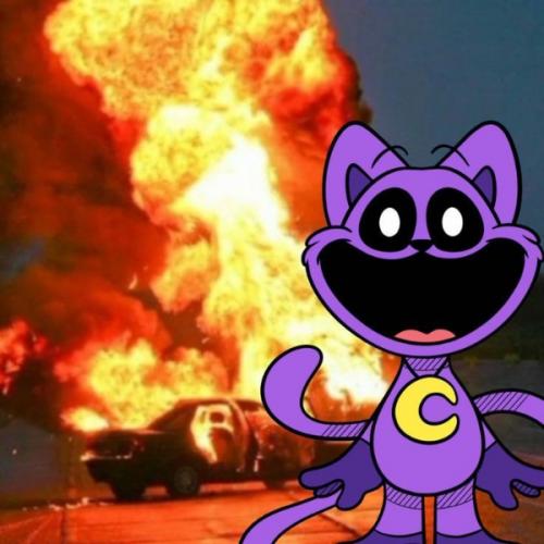 สมาชิกหมายเลข 8014129