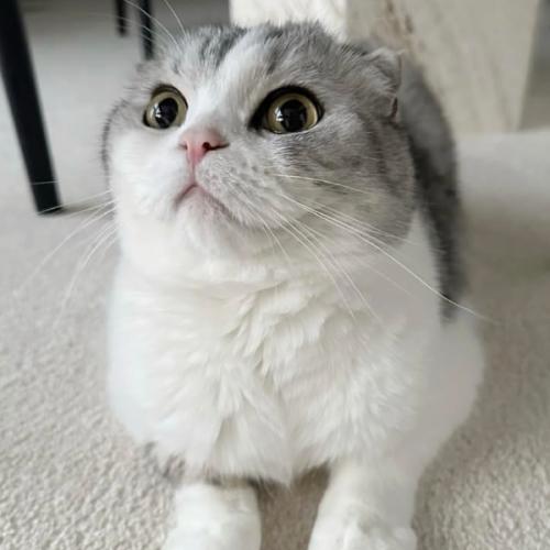 สมาชิกหมายเลข 3221919