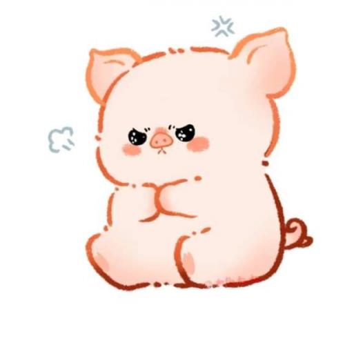 สมาชิกหมายเลข 9040498