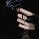 สมาชิกหมายเลข 4253630