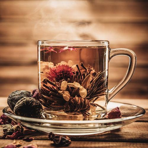 สมาชิกหมายเลข 4640150