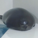 สมาชิกหมายเลข 4640155