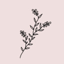 ดอกหยาดฝน