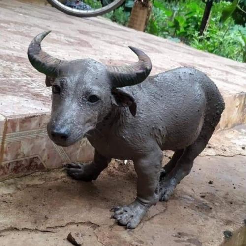 สมาชิกหมายเลข 2970338