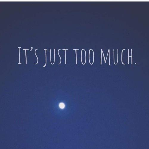 สมาชิกหมายเลข 4434756