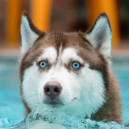 สมาชิกหมายเลข 5896851