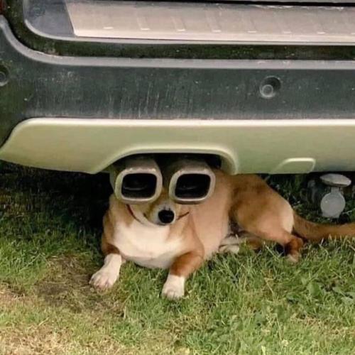 สมาชิกหมายเลข 2602704