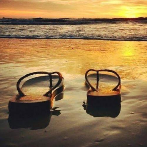 สมาชิกหมายเลข 5102709