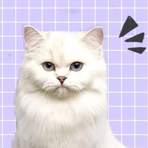 สมาชิกหมายเลข 5566552