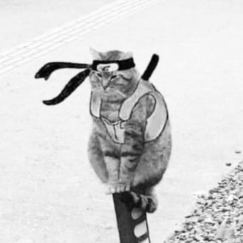 สมาชิกหมายเลข 6077397