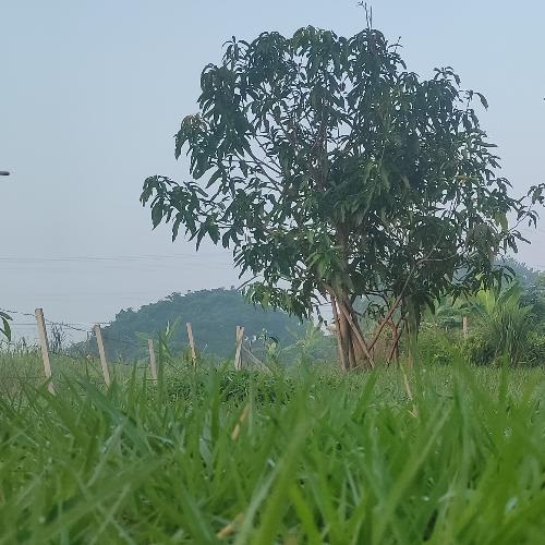 สมาชิกหมายเลข 6497903