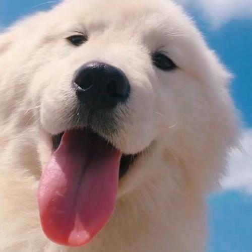 สมาชิกหมายเลข 6498160