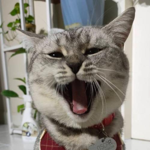 ก็มันสงสัย