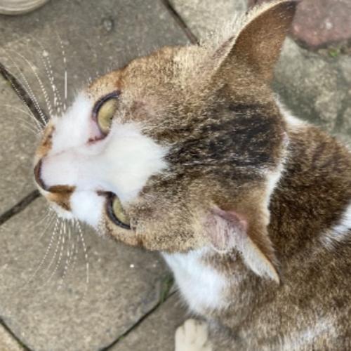 สมาชิกหมายเลข 7160394