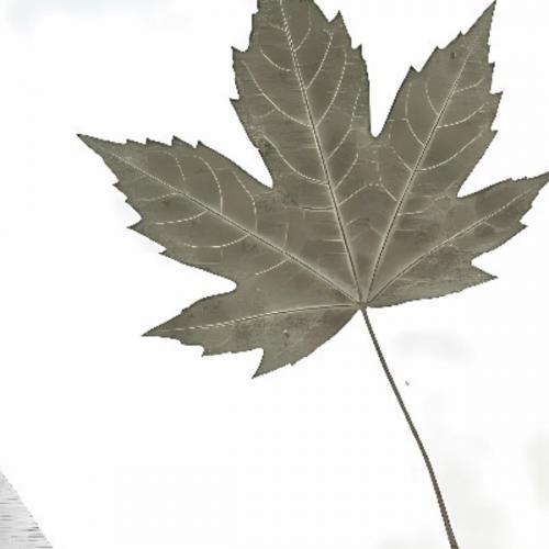 หมู-ผู้สงสัย