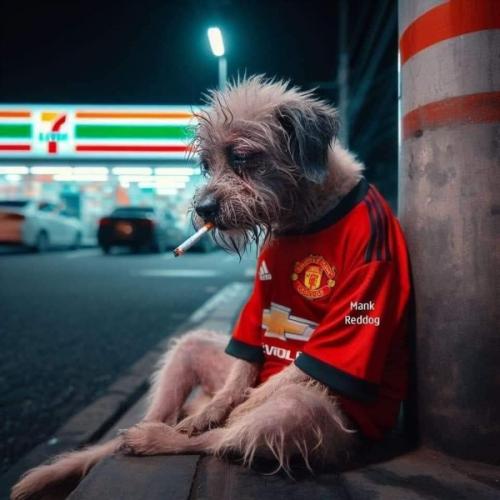 สมาชิกหมายเลข 6817630