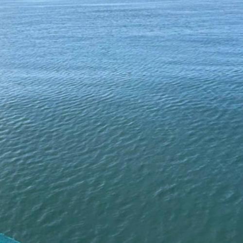 สมาชิกหมายเลข 8131361