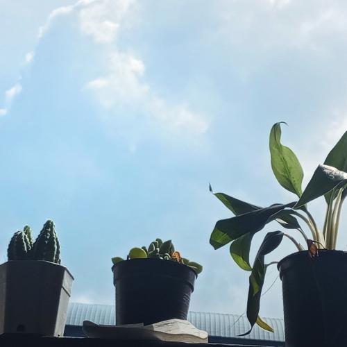 สมาชิกหมายเลข 8499393