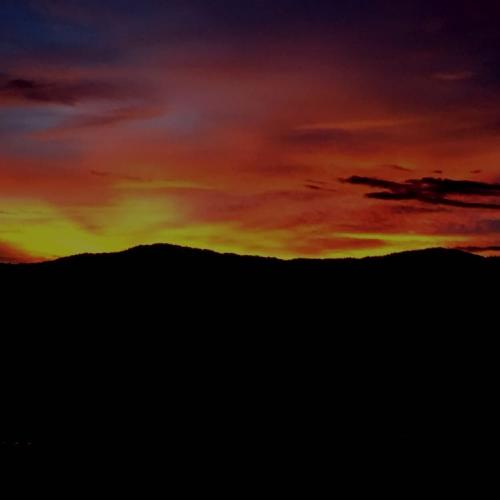 สมาชิกหมายเลข 4216114