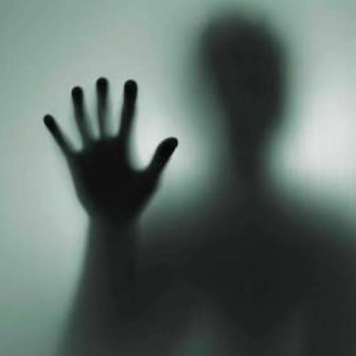 สมาชิกหมายเลข 4254093