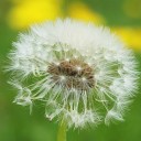 สมาชิกหมายเลข 4254201