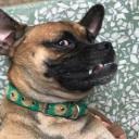 สมาชิกหมายเลข 4254267