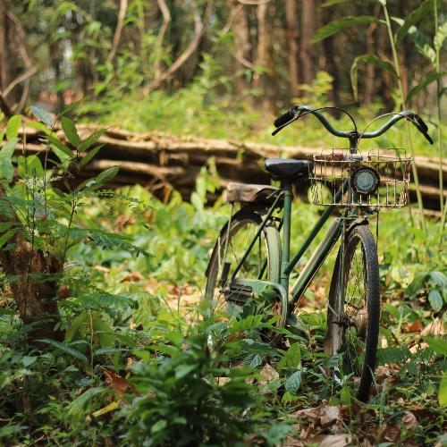 สมาชิกหมายเลข 4879500