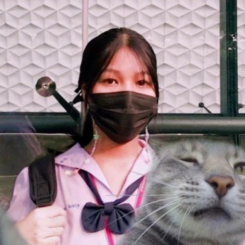 สมาชิกหมายเลข 5149031