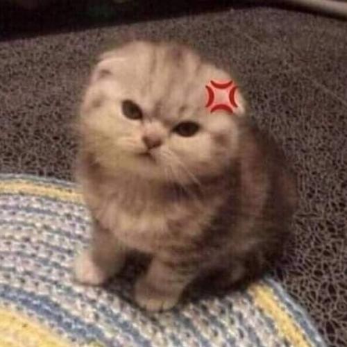 สมาชิกหมายเลข 6351495