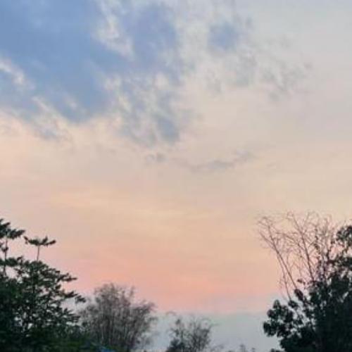 สมาชิกหมายเลข 8014896