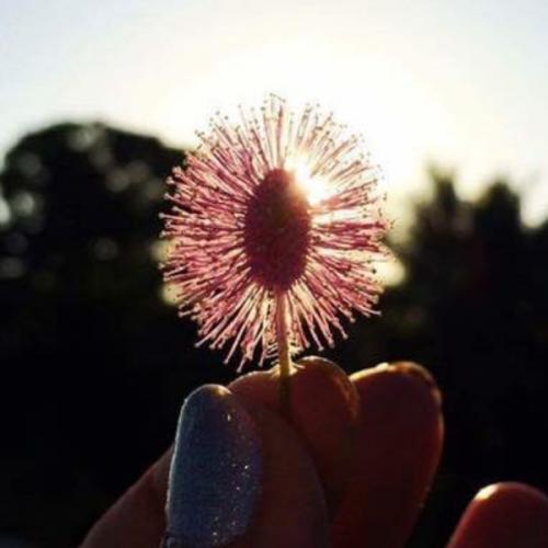 นาตนงจบนะ!