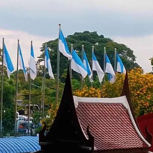 สมาชิกหมายเลข 9031033