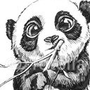 สมาชิกหมายเลข 3790158