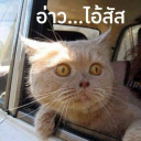 สมาชิกหมายเลข 1821786