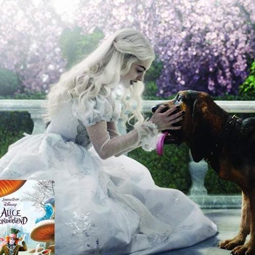 สมาชิกหมายเลข 2404850