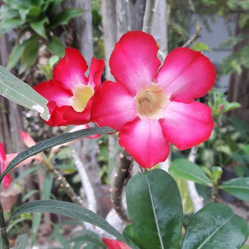 สมาชิกหมายเลข 3325351