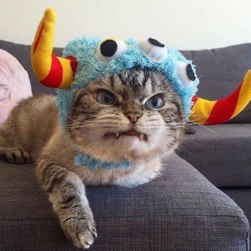 สมาชิกหมายเลข 5395105